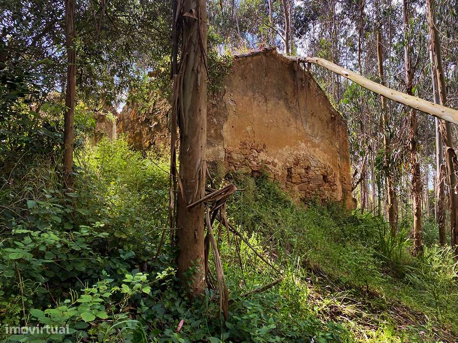 Habitação em ruína, grande terreno, a 5 min. de C. da Rainha e Óbidos - Grande imagem: 4/11