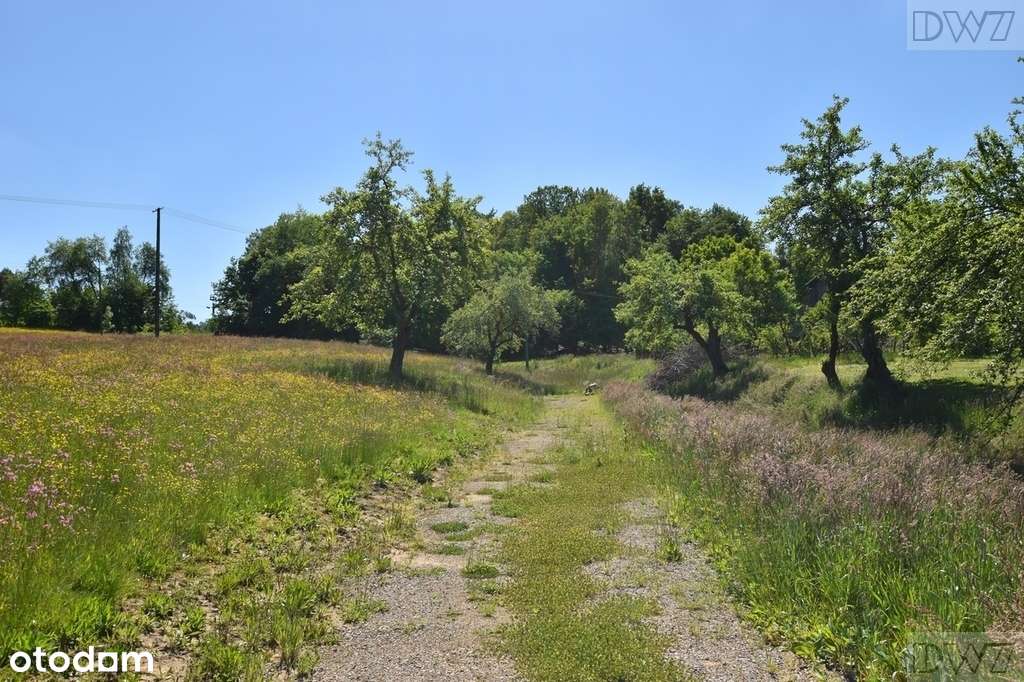 Działki budowlane na sprzedaż, Tarnawa-15