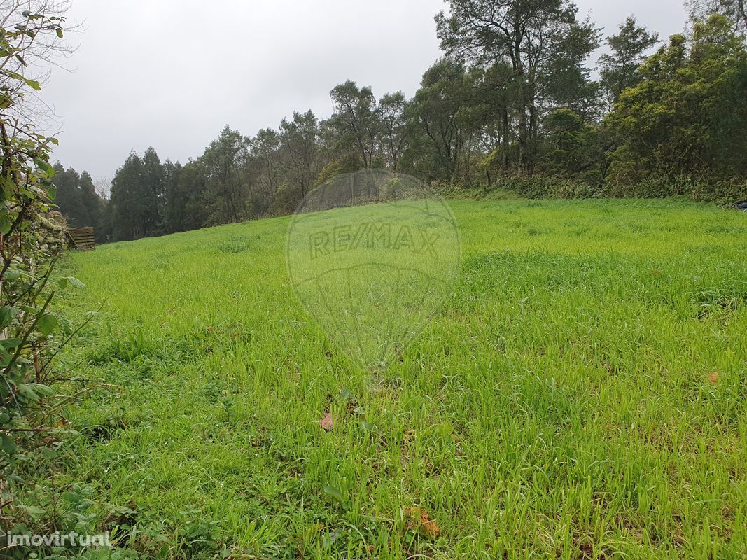 Terreno  para venda