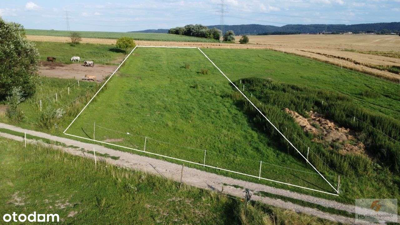piękna działka 24 ary Radwanowice rolna > zagrodowa-8