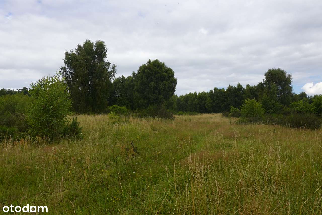 Działka budowlana 3000m2, nad morzem, morze/jeziora/las, Łeba 8km - Pełny obrazek: 5/8