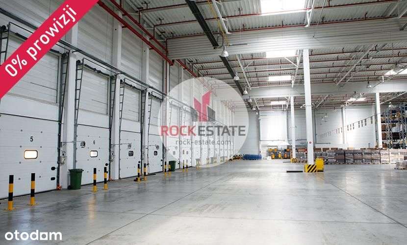Magazyn 3 tyś. m2 od zaraz - 0% prowizji - Pełny obrazek: 5/5