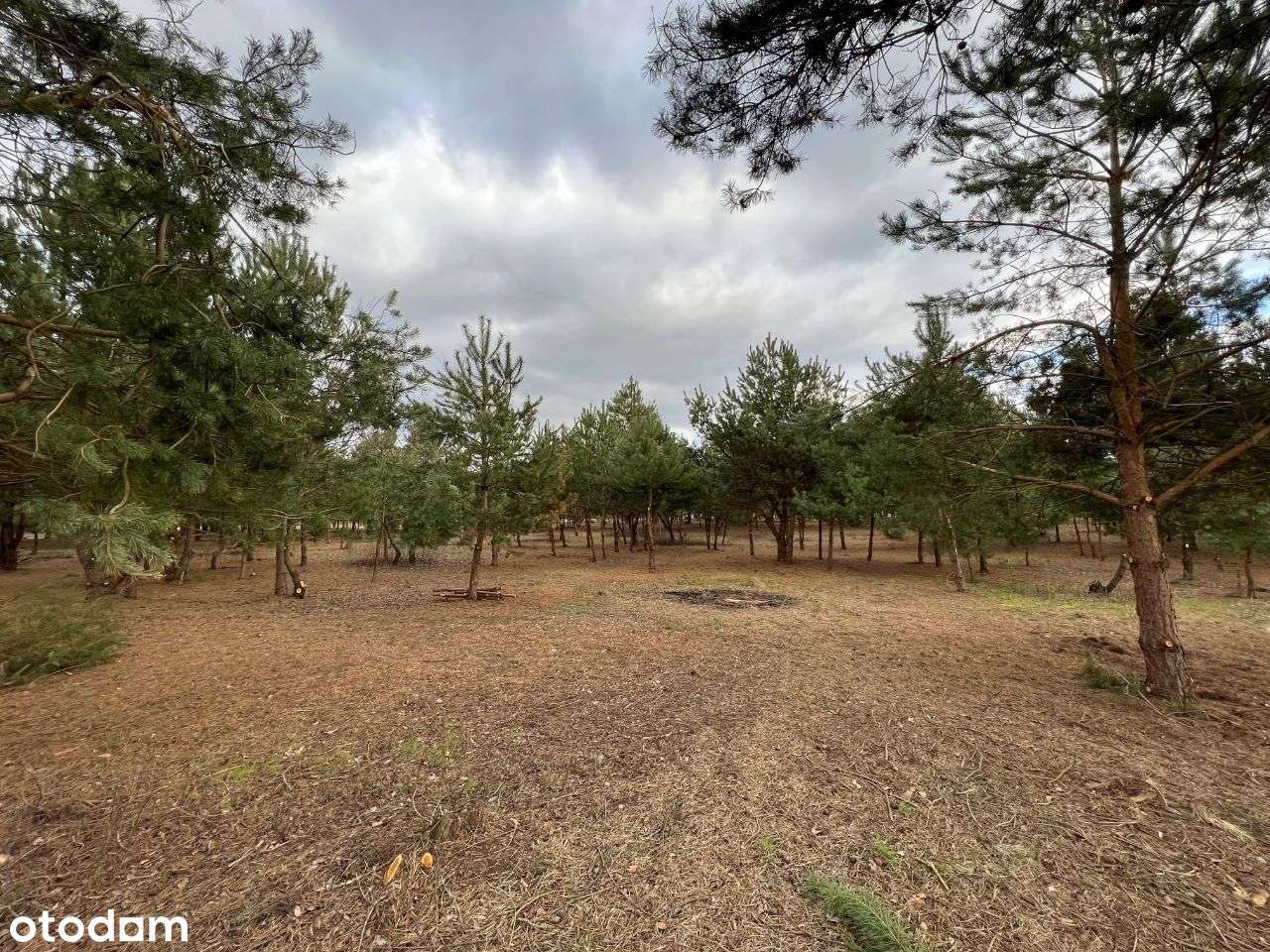 Działki budowlane pośród jezior i lasów - Pełny obrazek: 4/11