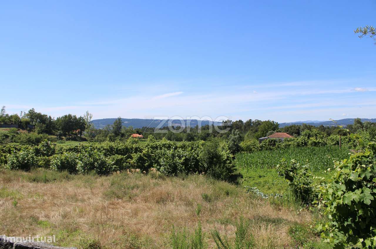 Terreno de Quinchães - Grande imagem: 5/15