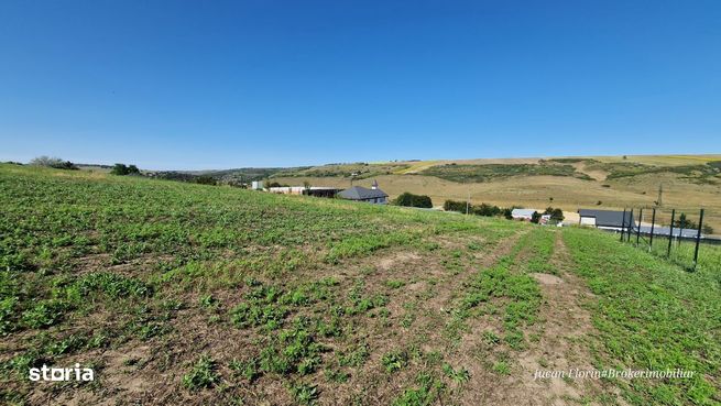 Teren Vanatori, loc de casa, utilitati-1