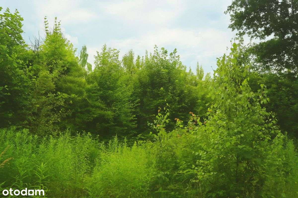 Kowary ul. Pensjonatowa, widokowa działka 804 m2-5