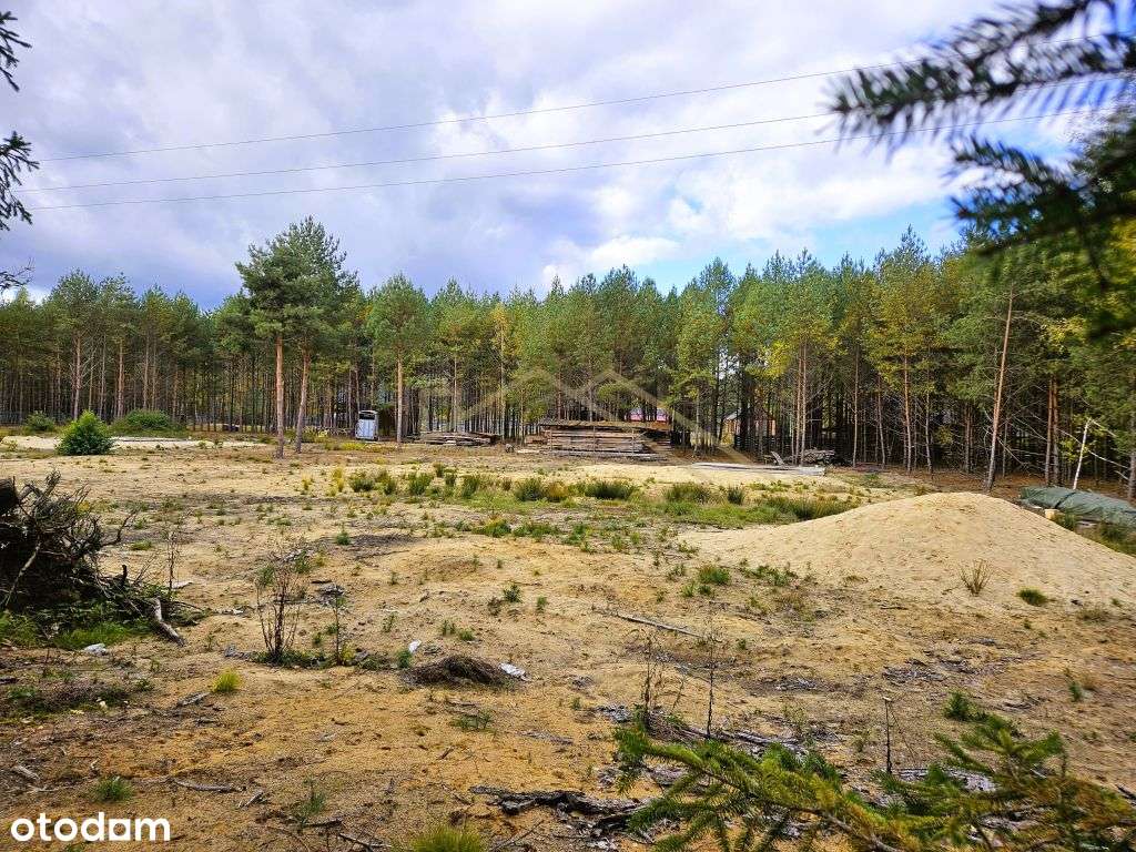 Działka w sercu Lasów Janowskich – Osówek Kolonia - Pełny obrazek: 4/13