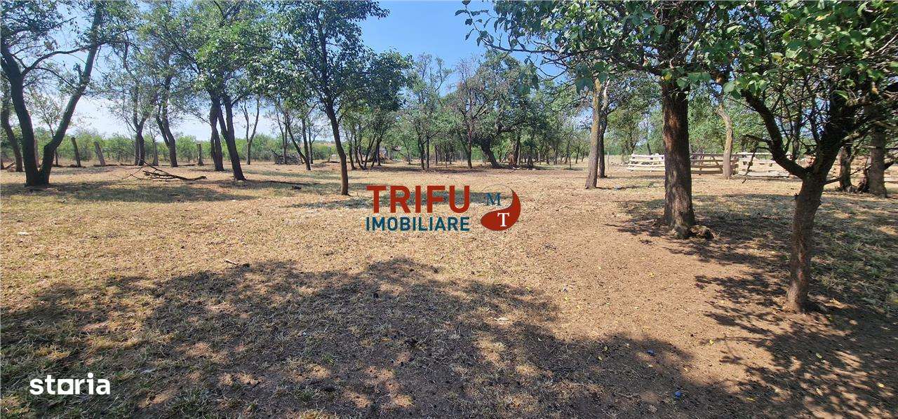 Teren de vanzare zona Paclisa - Imagine principală: 3/12