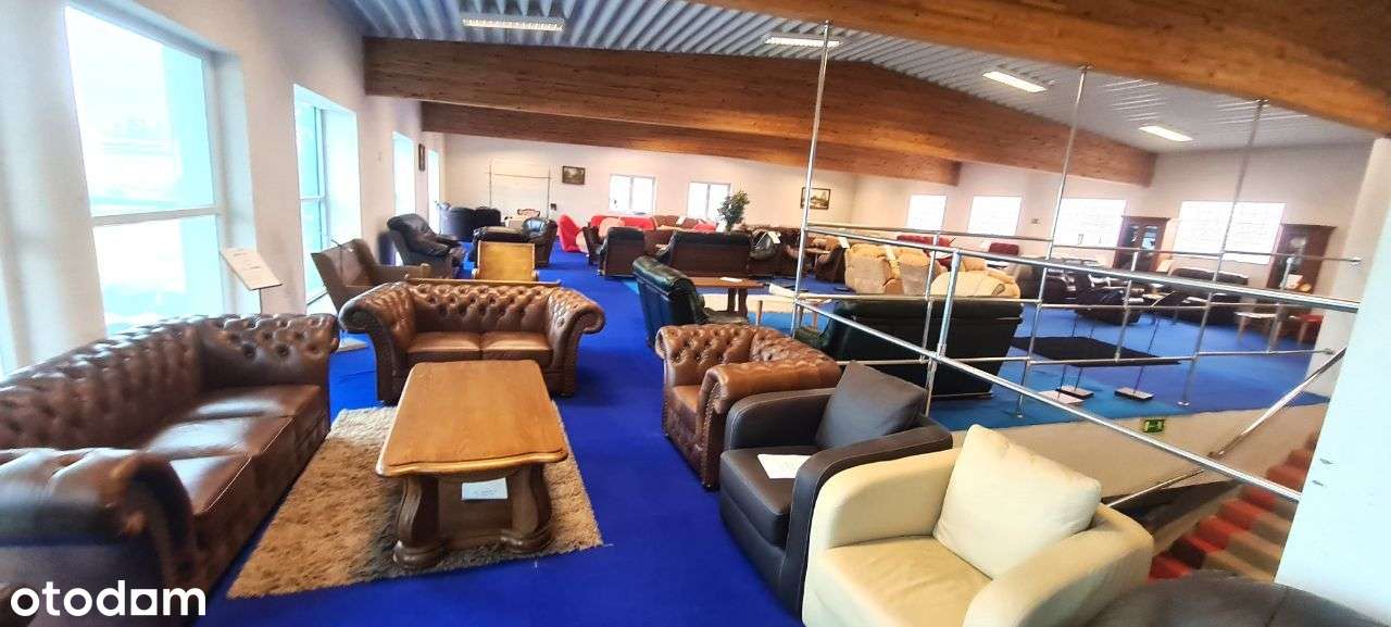 Ekspozycja Wystawa Salon handlowy  300 m² Showroom  Suchy las Poznań - Pełny obrazek: 5/19