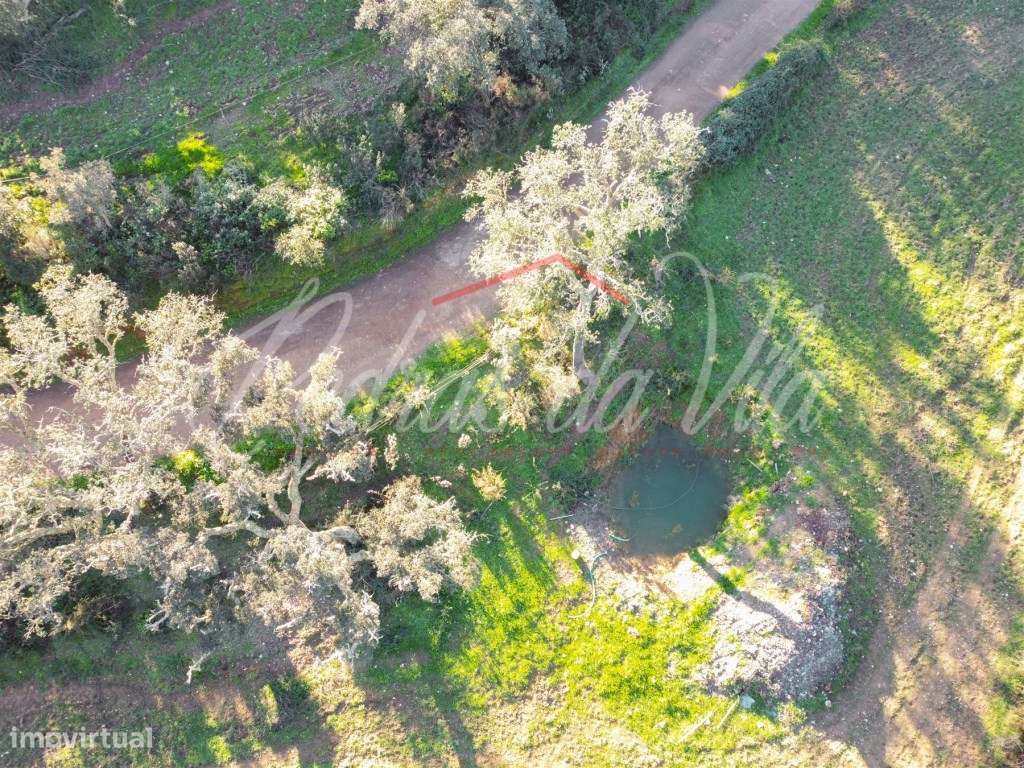 Monte Alentejano de 36ha com 3 ruinas - Pego das Pias - Odemira-17