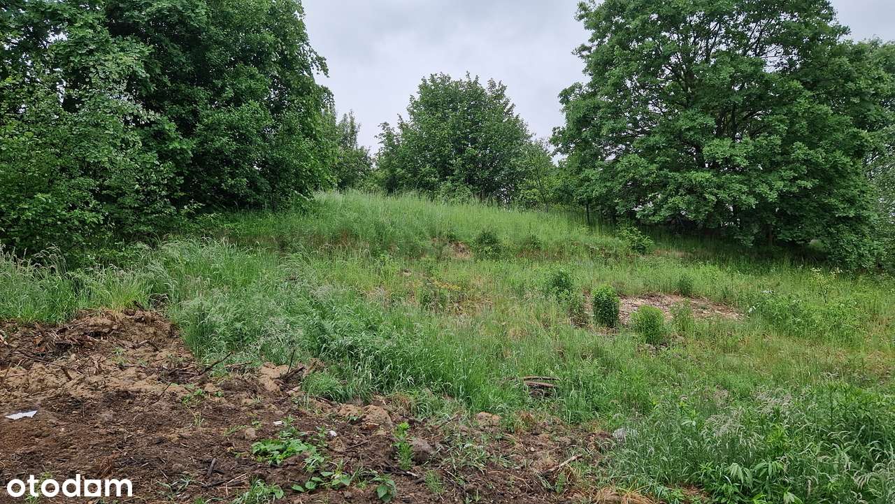 Działka budowlana 10 arów - Burów k. Krakowa - Pełny obrazek: 1/10