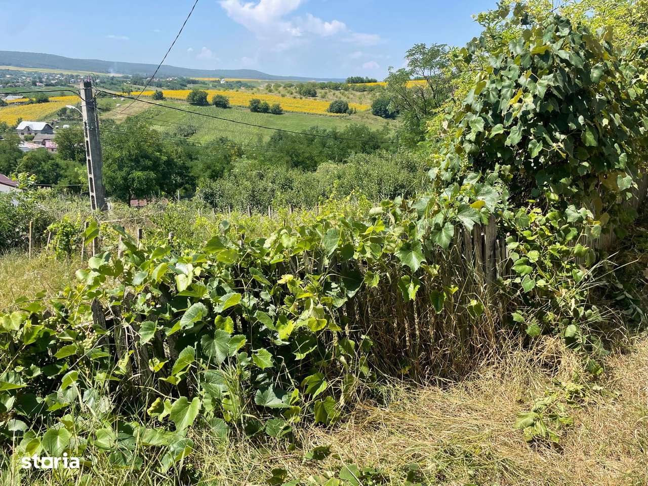 Teren intravilan 5470 mp, Comuna Mihai Eminescu - Imagine principală: 5/6