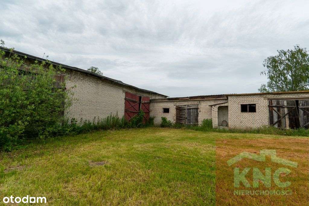 Dom z dużą działka 1,14ha - Pełny obrazek: 5/13