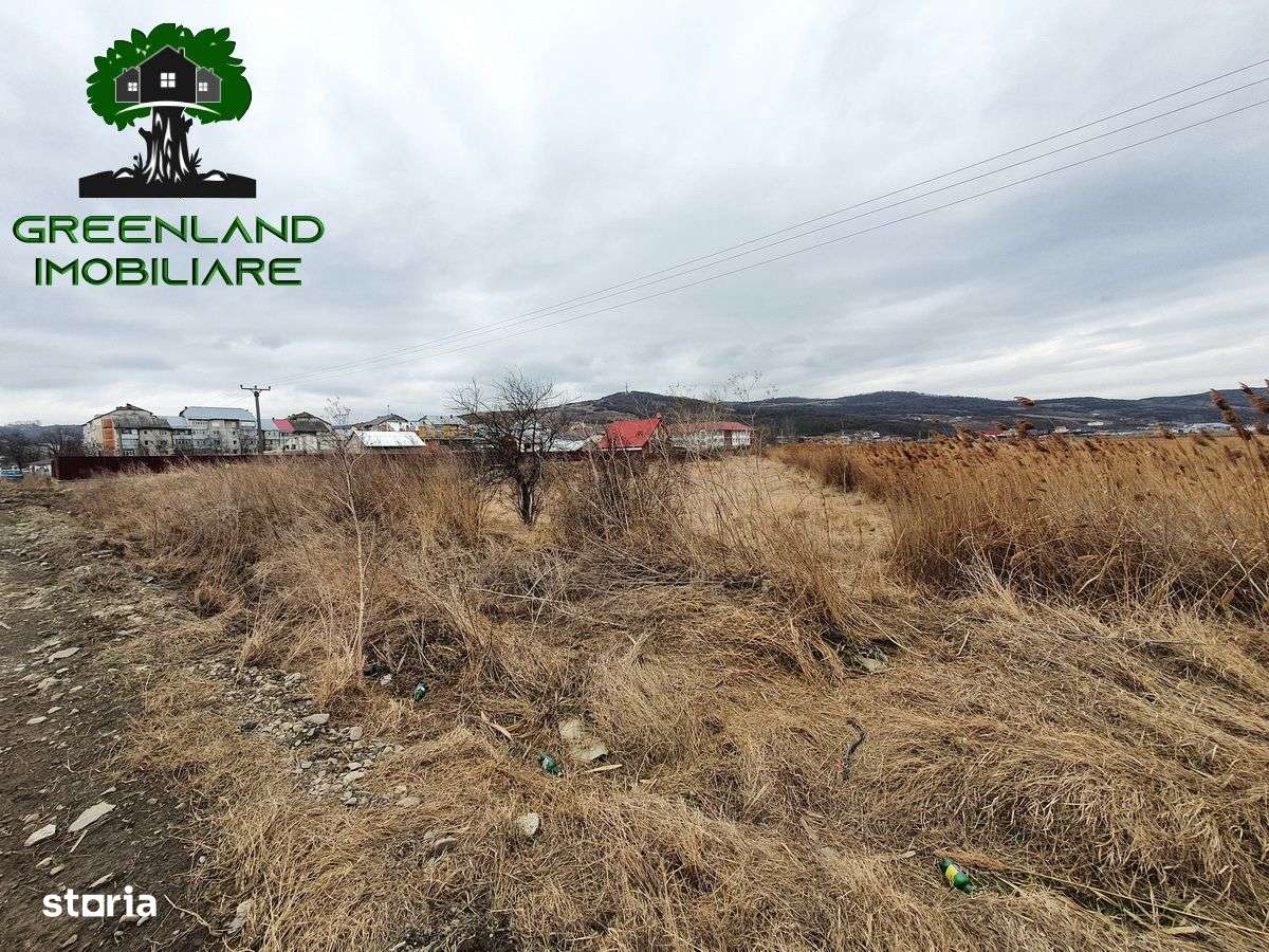 TEREN INTRAVILAN plat, 3100 mp cu 51,6 m deschidere la asfalt, TOMESTI - Imagine principală: 4/6