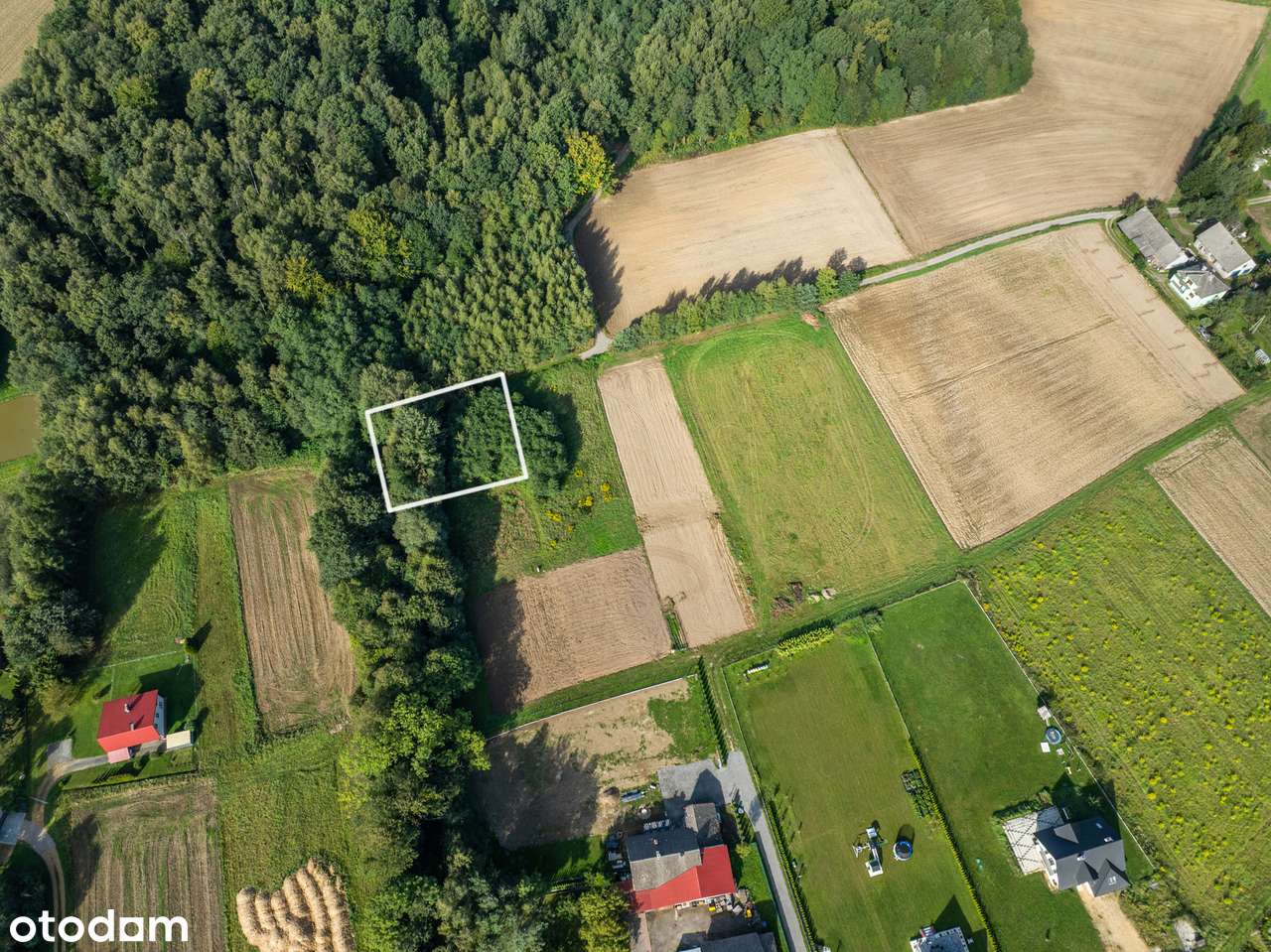 Działka budowlana z prywatnym lasem | Nidek-5