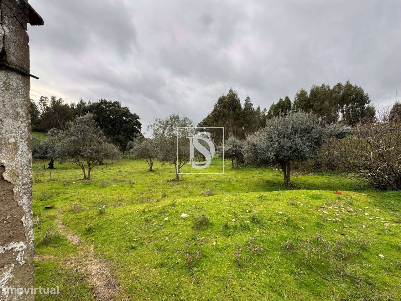 Quintinha em Malpique, Santa Margarida da Coutada-33