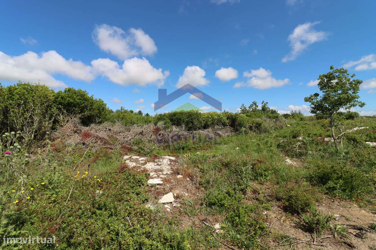 Terreno Rústico c/ 16.520 m2 Reguengo Pequeno - Lourinhã-25