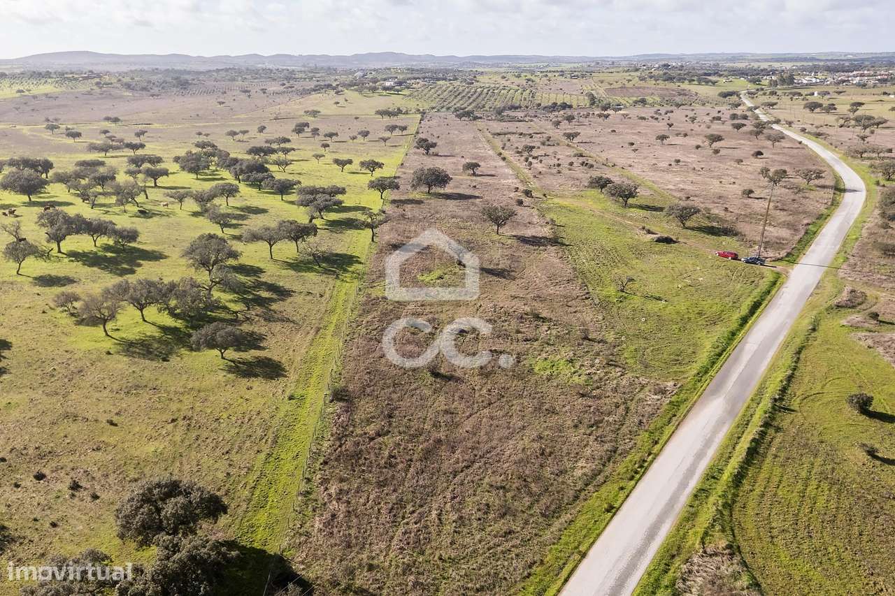 Terreno de 5,4 ha c/ Viabilidade de Construção | Capelins, Alandroal-29