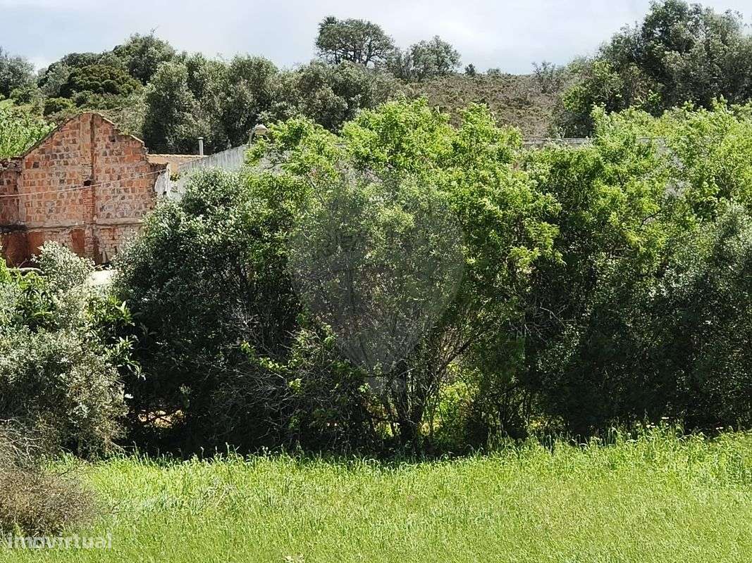 Quinta  para venda - Grande imagem: 5/23