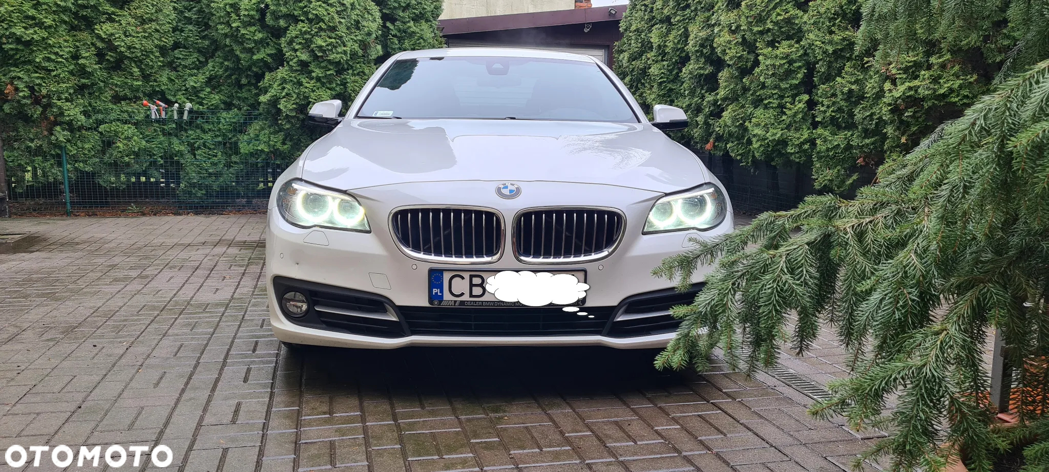 BMW Seria 5 520d xDrive Sport - 8