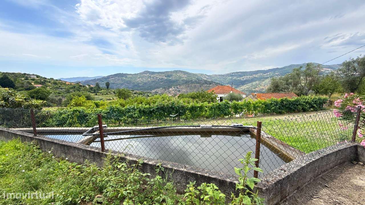 Quinta em Miomães, Resende | Um refúgio rural com cerca de 4 hectares-55