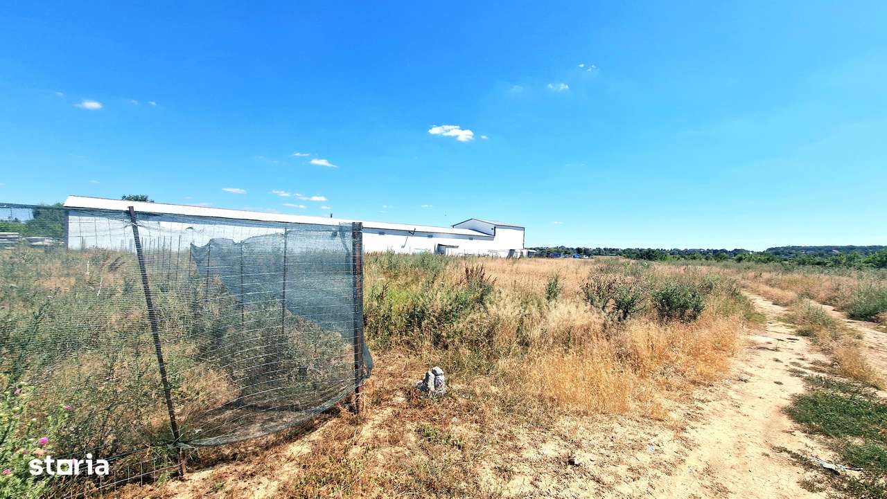 Teren Calea Giulesti - Giulesti Sarbi, 515mp-625-724mp - 0%comision - Imagine principală: 4/13