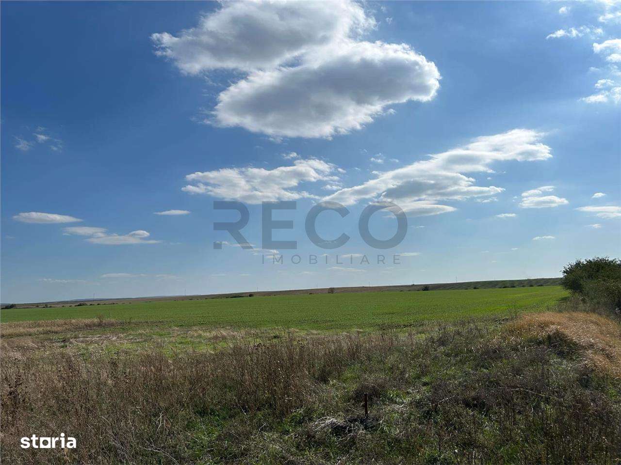 RECO Oportunitate teren 25000mp Santandrei - Imagine principală: 1/3