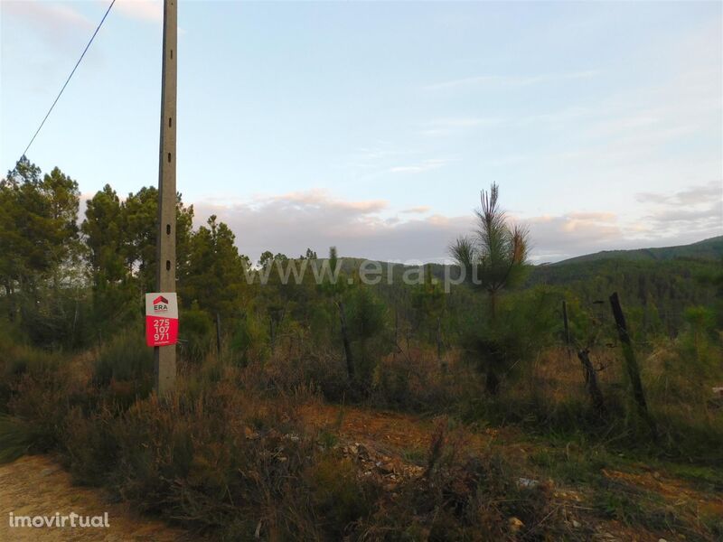 Terreno para Construção / Fundão, Silvares