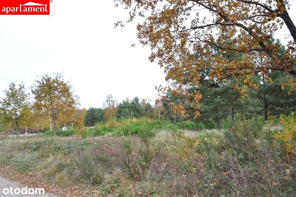 Działka budowlana, ul. Kalinowa-3