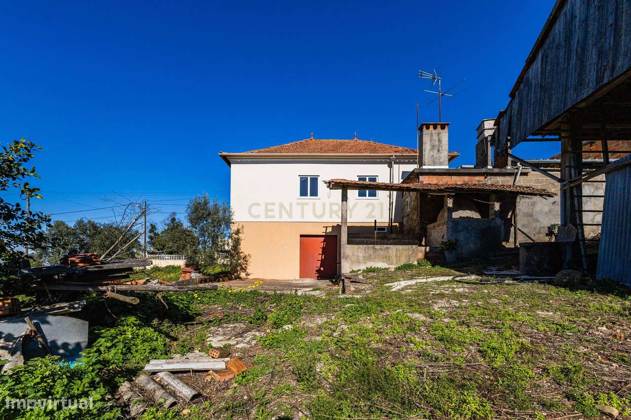 Moradia T3 (a necessitar de obras) a 20 Minutos de Leiria - Grande imagem: 5/22