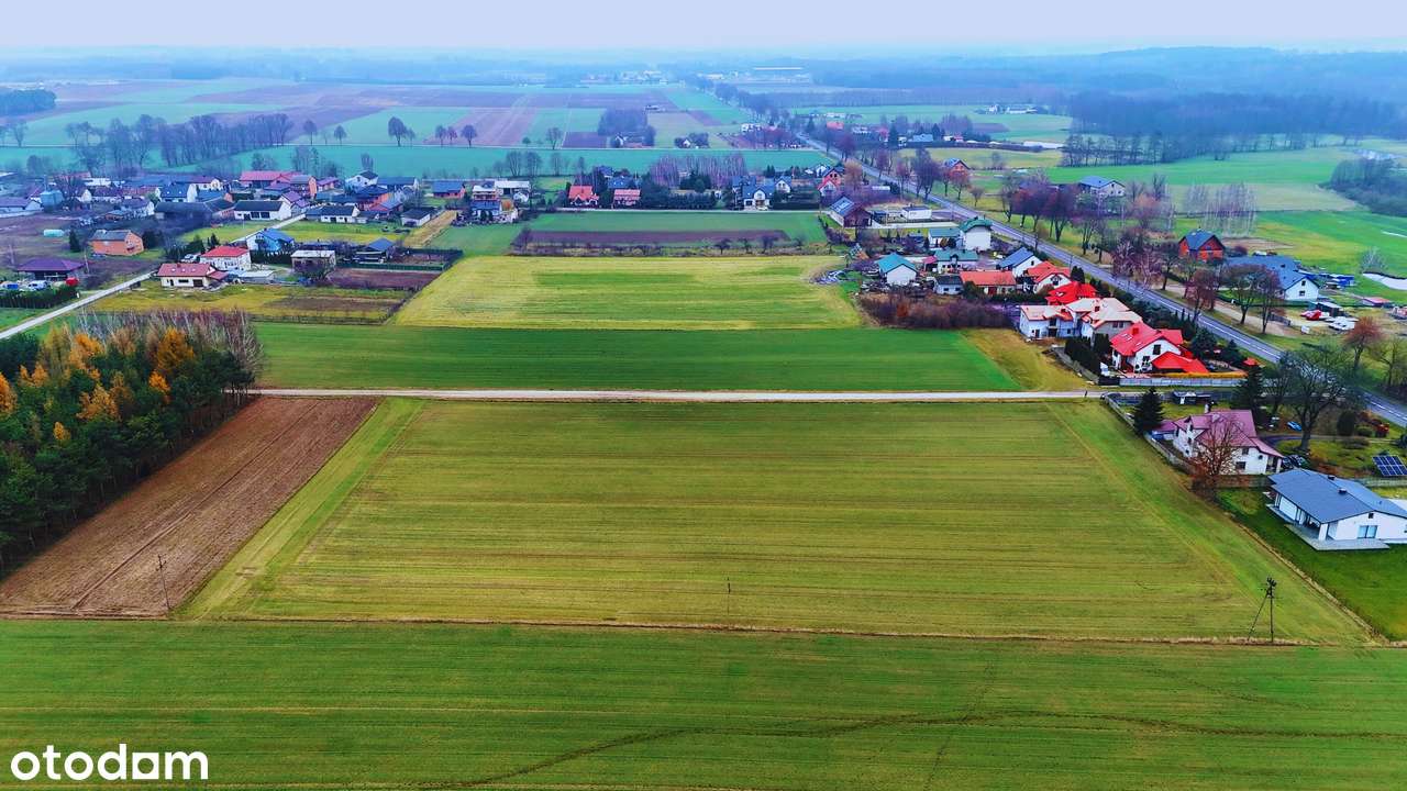 Kompleks działek | 1150 m2/1650 m2 | 5 min. od Rawy Mazowieckiej NIWNA-7