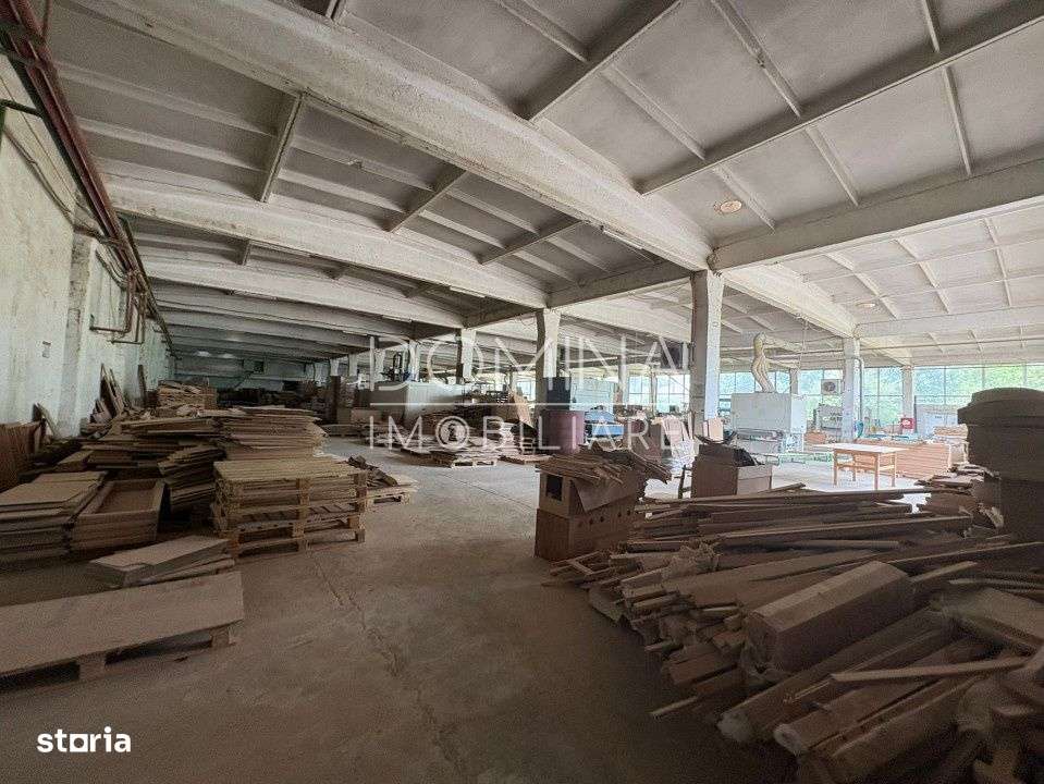 Complex industrial multifunctional – pozitie strategica, Targu Jiu - Imagine principală: 5/10