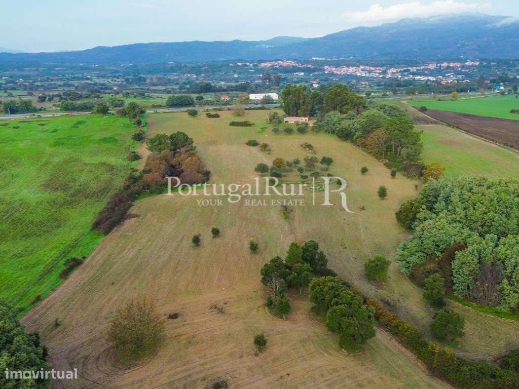 Quinta com 5 hectares e ruína - Grande imagem: 3/20