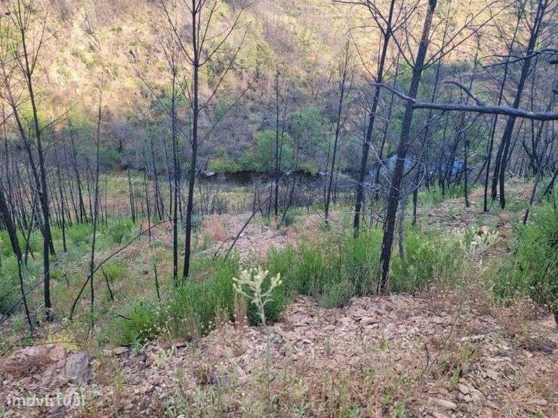 Terreno para venda - Grande imagem: 3/5