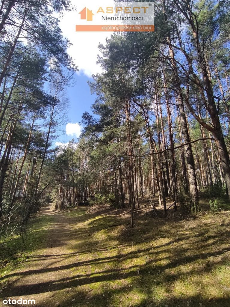 Piękna działka letniskowa w otoczeniu lasów