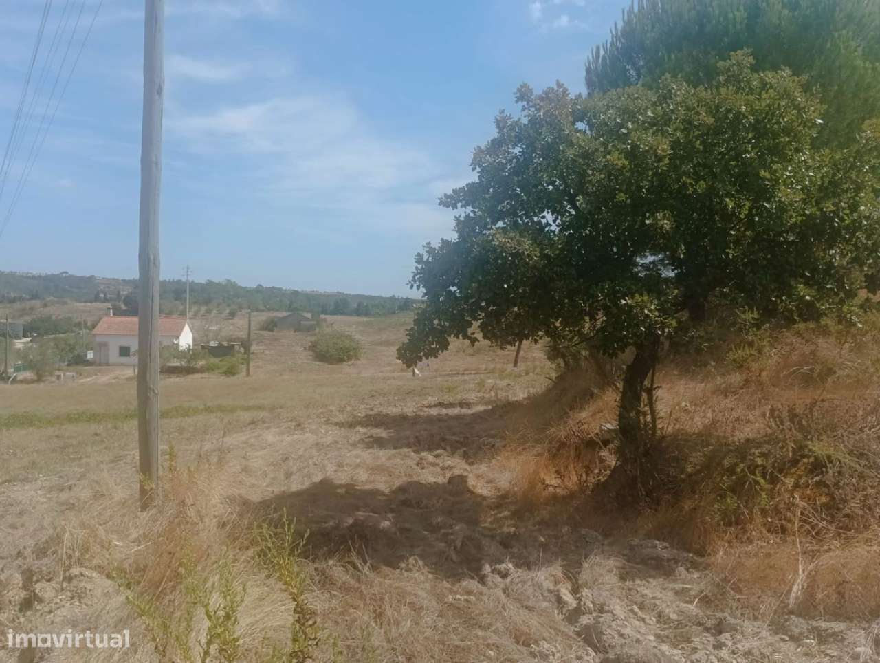 Terreno urbano, para venda, Rio Maior - São João da Ribeira e Ribei... - Grande imagem: 5/16