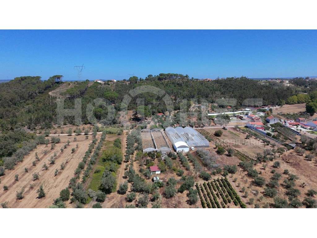 Terreno Agrícola com Estufas Preparadas para Produção em Hidroponia...-5