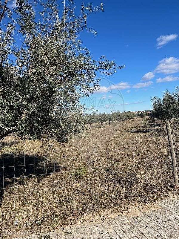 Terreno  para venda - Grande imagem: 5/5