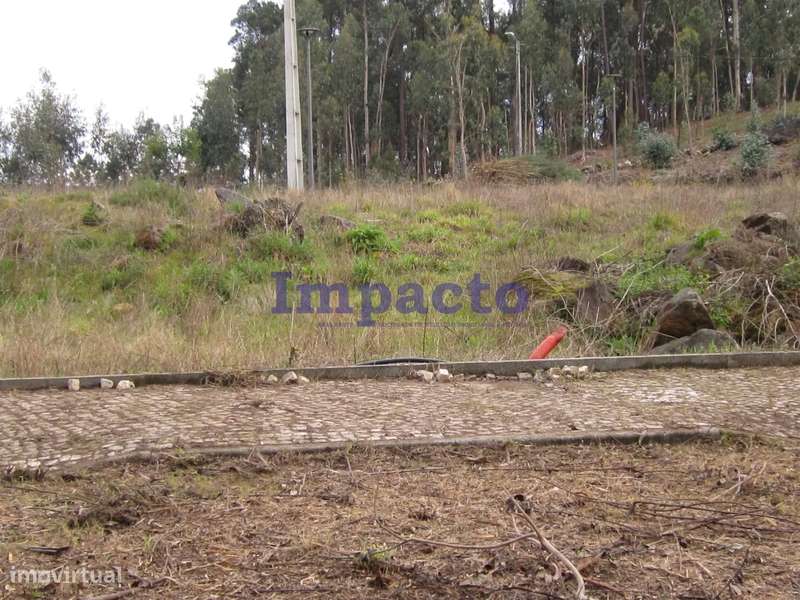 Lotes de Terreno para Construção em Fajões, Oliveira de Azeméis - Grande imagem: 4/16