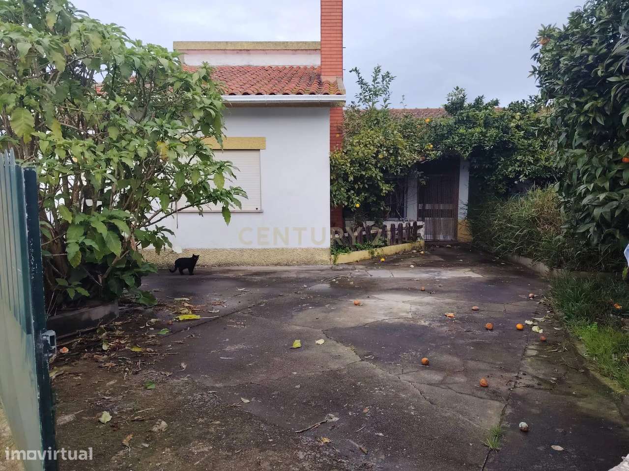 Casa T3 em Taboeira, Aveiro - Oportunidade Única! - Grande imagem: 2/11