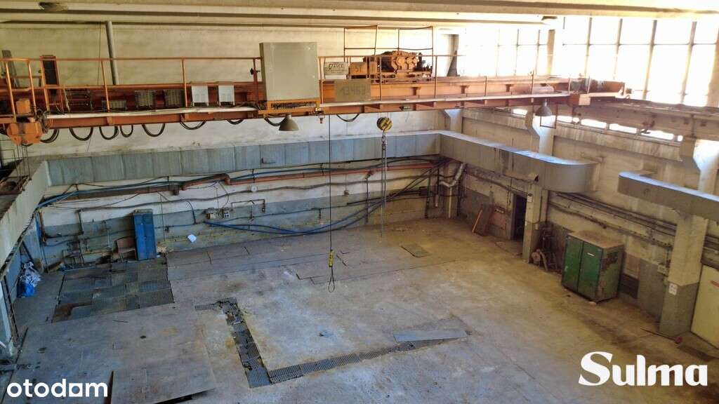 Wysoka Hala Przemysłowa | Produkcja | Magazyn - Pełny obrazek: 4/6