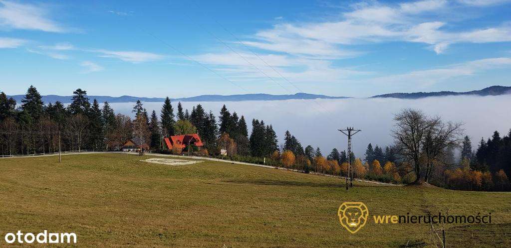 Inwestycyjnie - Dom pod lasem/Agroturystyka-14