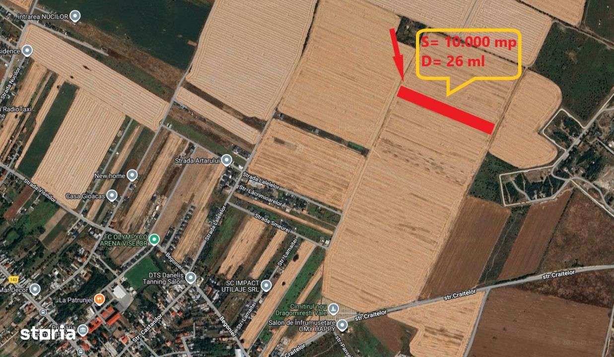 Teren 10.000 mp – Dragomiresti Vale, Ilfov - Imagine principală: 2/5