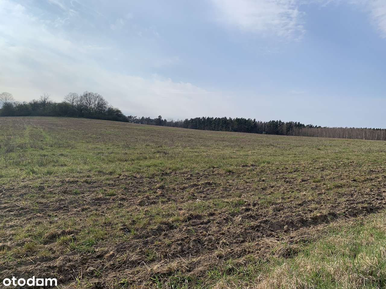 Działki rolne w Pątnowie Legnickim-2
