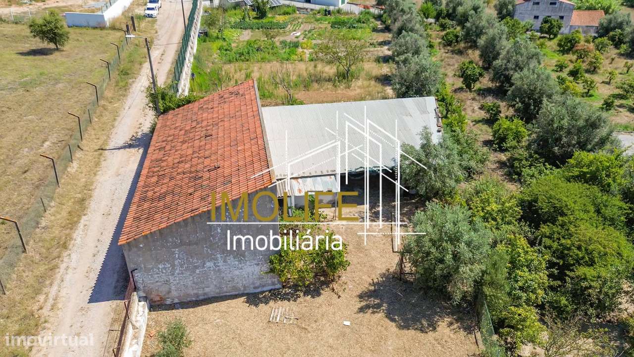 Armazém para venda em Cabeção-19