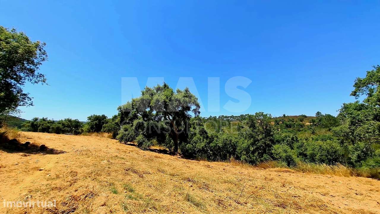 Herdade para Construção com 73,7 hectares em Relíquias, Odemira - Grande imagem: 4/20