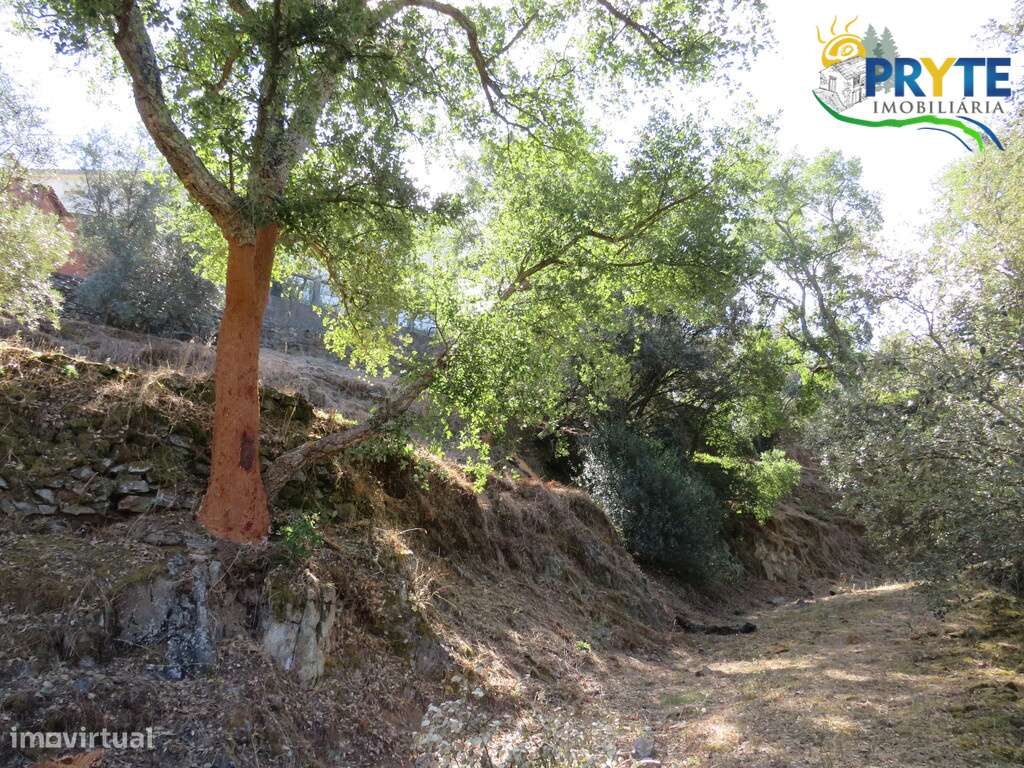 Terreno para construção inserido no aglomerado urbano da Vila da Sertã-9