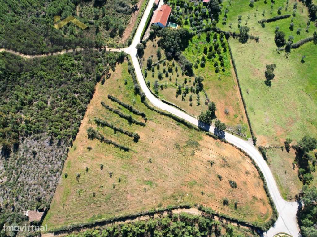 Terreno rústico com 1.2hectares, na aldeia de Sobral do Campo | 15m... - Grande imagem: 4/8