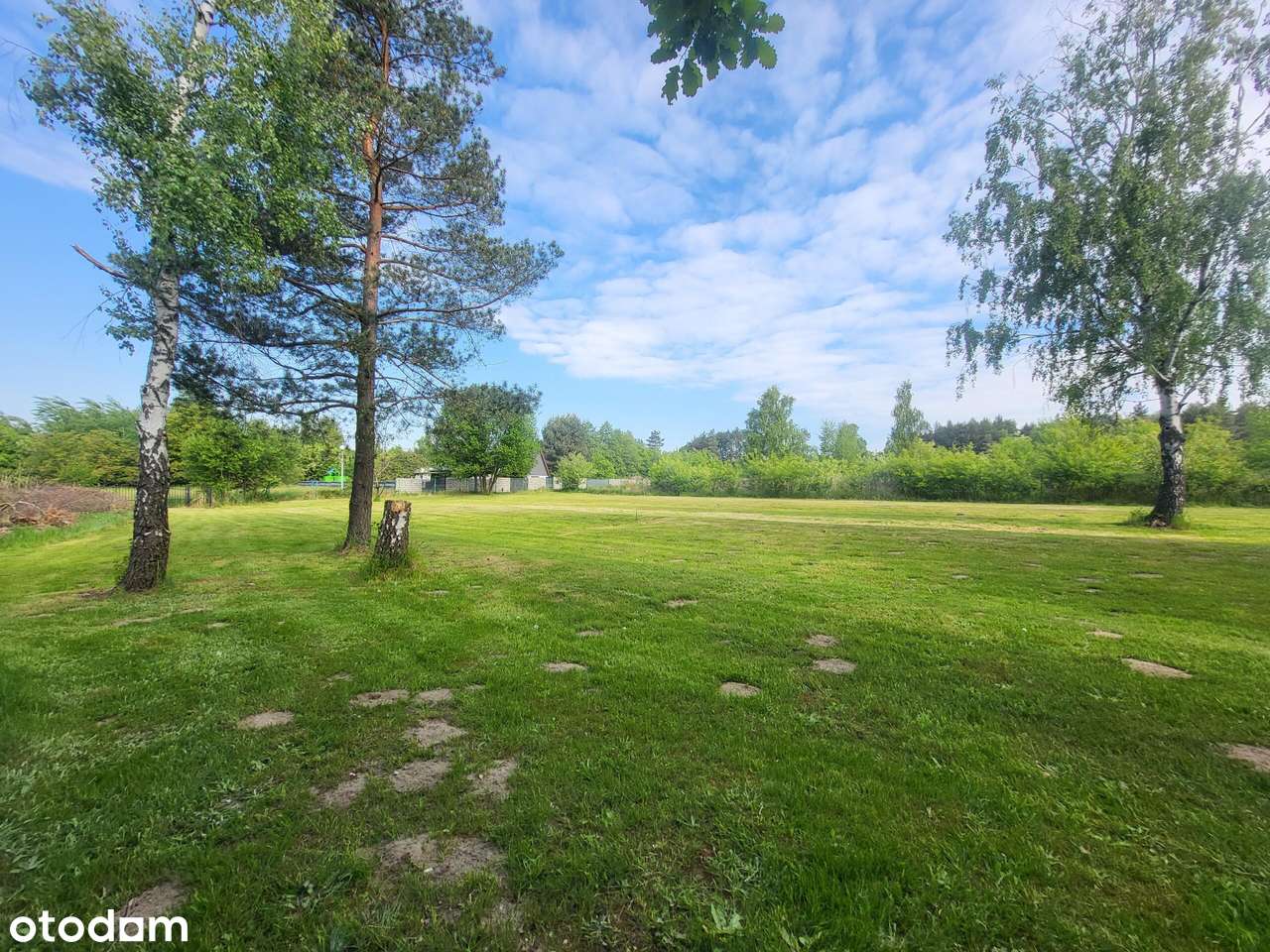 Urokliwa działka blisko lasu - Pełny obrazek: 4/18