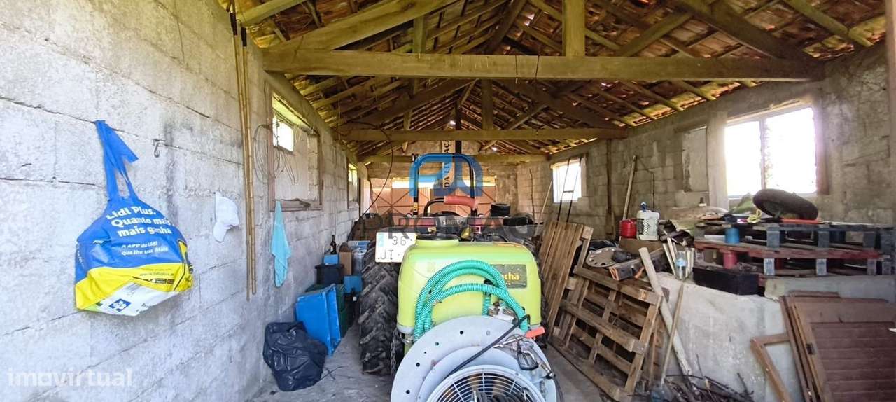 Quinta do Valado- Excelente Investimento em Resende-38